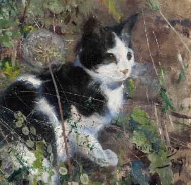 Gato en un prado&nbsp;florido